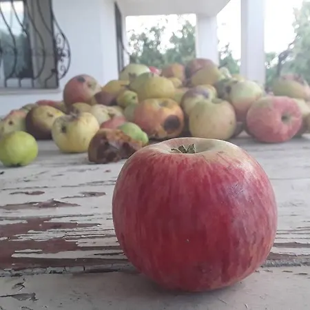 Dağ Evi Dağ evi *