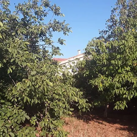 Dağ Evi