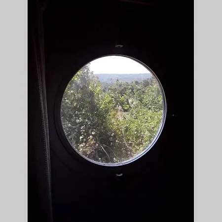 Dağ Evi Dağ evi *
