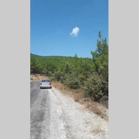 Dağ Evi Dağ evi *